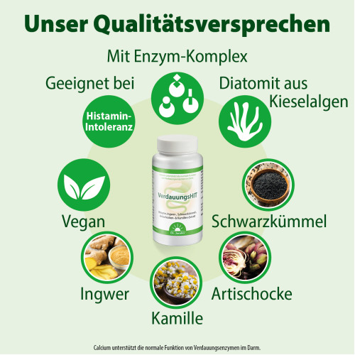 Dr.Jacob's VerdauungsHIT Enzyme Ingwer Schwarzk&uuml;mmel Kamille, 90 Stk., Dr. Jacob's Medical GmbH