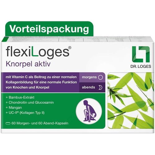 FLEXILOGES KNORPEL AKTIV, 240 Stk., Dr. Loges + Co. GmbH