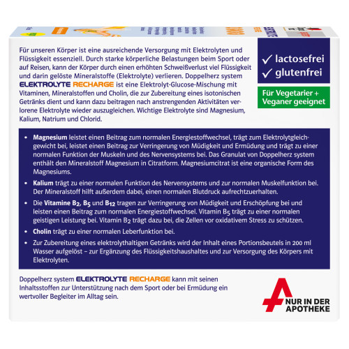 Doppelherz Elektrolyte Recharge system, 20 Stk., Queisser Pharma GmbH & Co. KG