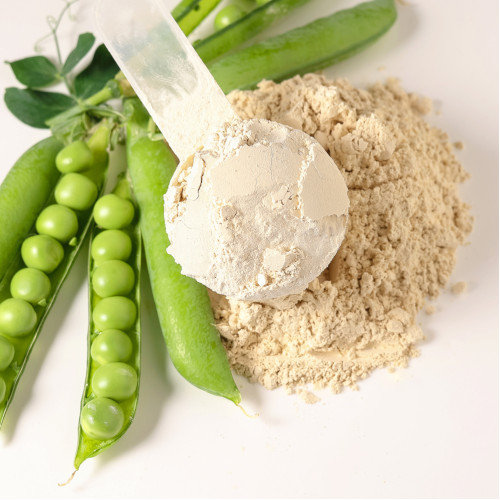 Dr. Jacob's Vegan Protein HIT Proteinpulver+Kreatin+Enzyme, 1000 g, Dr. Jacob's Medical GmbH