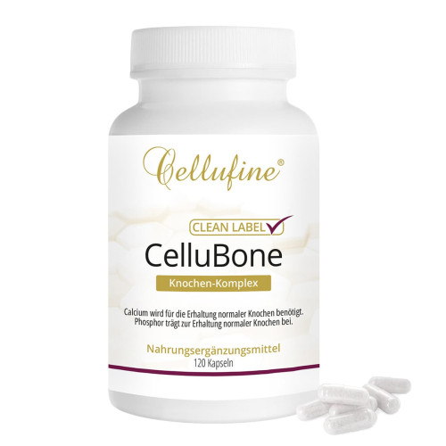 Cellufine CelluBone Knochen-Komplex, 120 Stk., APOrtha Deutschland GmbH