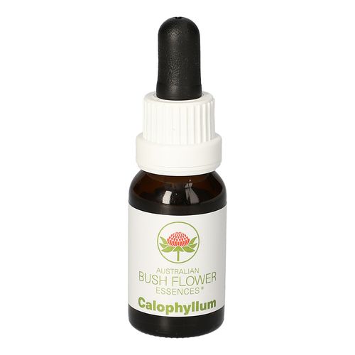 Calophyllum Australische Buschblütenessenz AUB, 15 ml, Leitner Lifecare GmbH