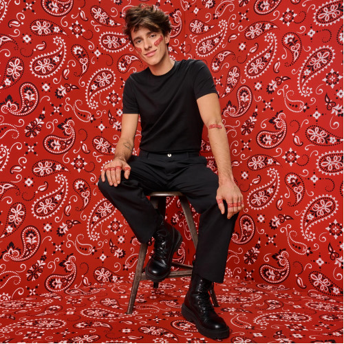 Wild Stripes Classic Sensitive Fashion INT, 20 Stk., New Flag GmbH