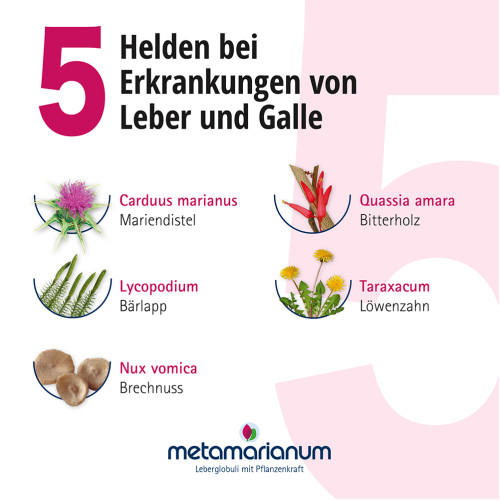 metamarianum Leberglobuli, 10 g, Meta Fackler Arzneimittel GmbH