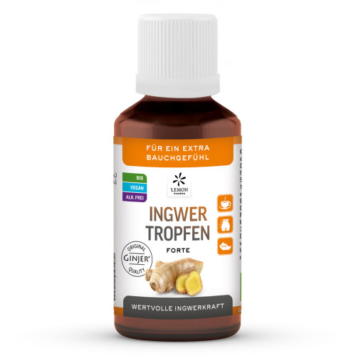 Ingwer GINJER forte Tropfen, 50 ml, Hager Pharma GmbH