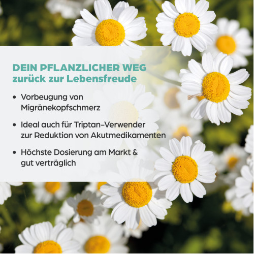 Mutterkraut Apomedica 200mg Filmtabletten, 60 Stk., Apomedica Pharmazeutische Produkte GmbH