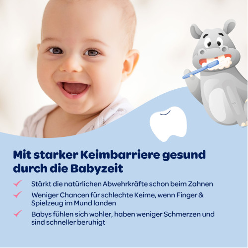 Dentinox Zahncreme Mundflora Baby, 30 ml, Dentinox Gesellschaft f&uuml;r pharmazeutische Pr&auml;parate