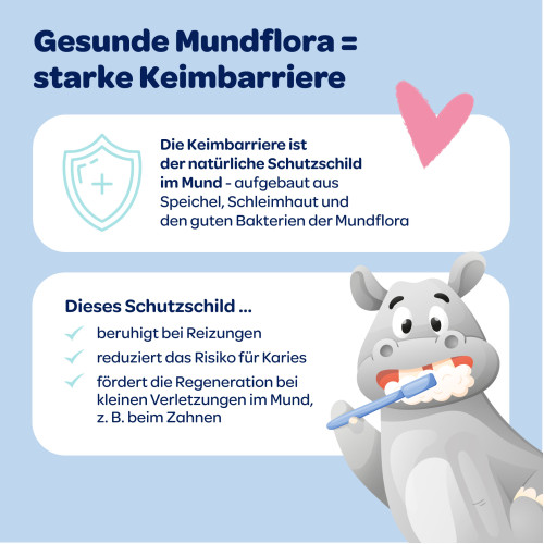 Dentinox Zahncreme Mundflora Baby, 30 ml, Dentinox Gesellschaft f&uuml;r pharmazeutische Pr&auml;parate