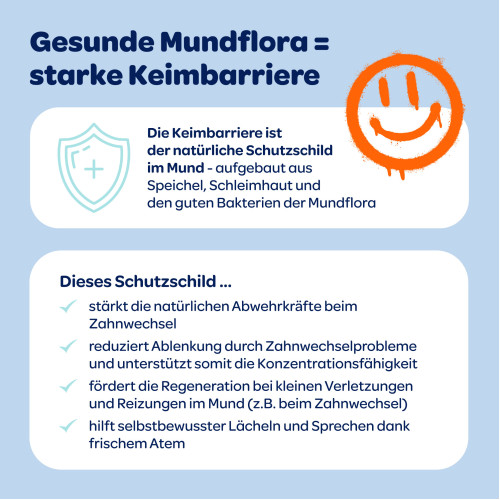 Dentinox Zahncreme Mundflora Junior, 75 ml, Dentinox Gesellschaft f&uuml;r pharmazeutische Pr&auml;parate