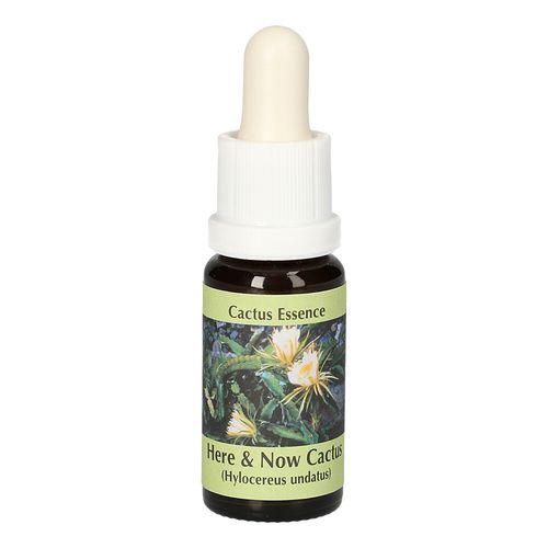 Here & Now-Cactus Essenz, 15 ml, Leitner Lifecare GmbH