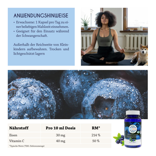 BlueIron Eisenkapseln, 60 Stk., Hager Pharma GmbH