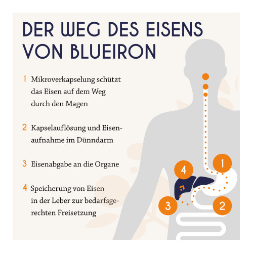 BlueIron Eisen Liquid, 250 ml, Hager Pharma GmbH
