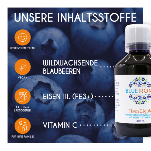 BlueIron Eisen Liquid, 250 ml, Hager Pharma GmbH