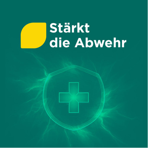 Meditonsin Extract Pflanzl. Erk&auml;ltungstabl., 20 Stk., Medice Arzneimittel P&uuml;tter GmbH & Co. KG