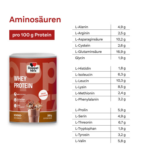 Doppelherz Whey Protein Schoko-Geschmack, 300 g, Queisser Pharma GmbH & Co. KG