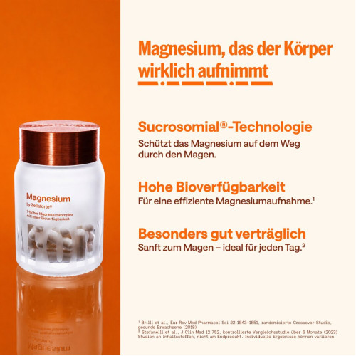 Zellaforte Magnesium Kapseln, 60 Stk., Adequapharm GmbH