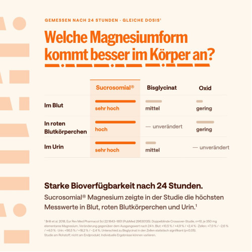 Zellaforte Magnesium Kapseln, 60 Stk., Adequapharm GmbH