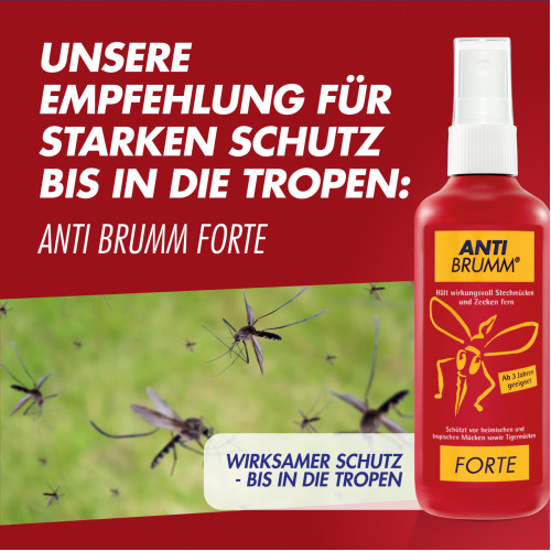 Anti-Brumm Lotion, 100 ml, Hermes Arzneimittel GmbH