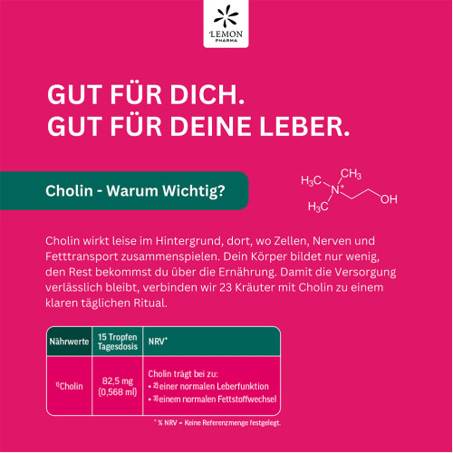 Bittertropfen mit Cholin, 30 ml, Hager Pharma GmbH