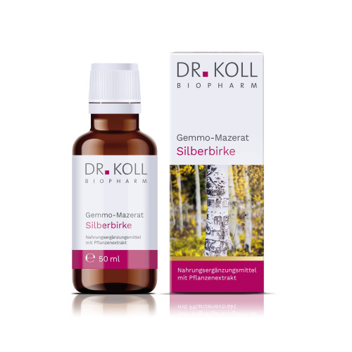 Gemmo Mazerat Silberbirke Dr. Koll Betula alba, 50 ml, Dr. Koll Biopharm GmbH