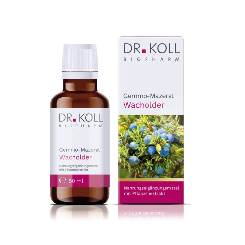 Gemmo Mazerat Wacholder Dr. Koll Juniperus communi, 50 ml, Dr. Koll Biopharm GmbH