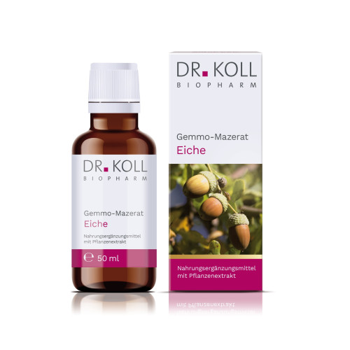 Gemmo-Mazerat Eiche Dr. Koll Quercus pedunculata, 50 ml, Dr. Koll Biopharm GmbH