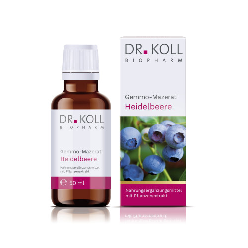 Gemmo-Mazerat Heidelbeere Dr. Koll Vacci.myrtillus, 50 ml, Dr. Koll Biopharm GmbH