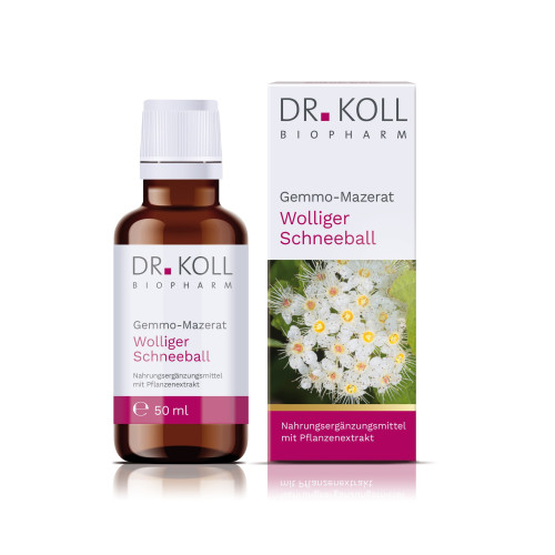 Gemmo-Mazerat Wolliger Schneeball Dr.Koll Viburnum, 50 ml, Dr. Koll Biopharm GmbH