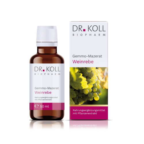 Gemmo-Mazerat Weinrebe Dr. Koll Vitis vinifera, 50 ml, Dr. Koll Biopharm GmbH