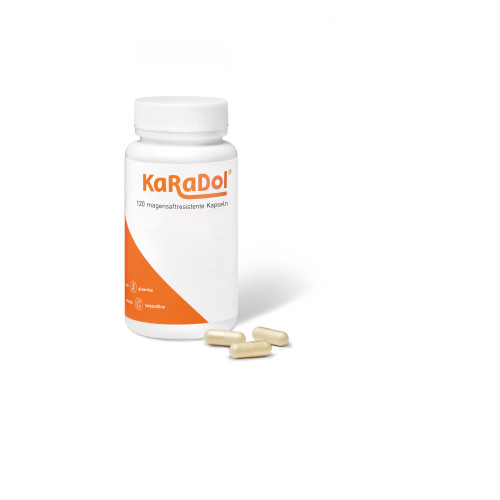 KaRaDol Kapseln magensaftresistent, 120 Stk., Volopharm GmbH Deutschland