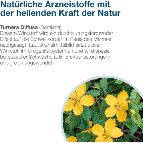 Neradin, 80 Stk., PharmaSGP GmbH