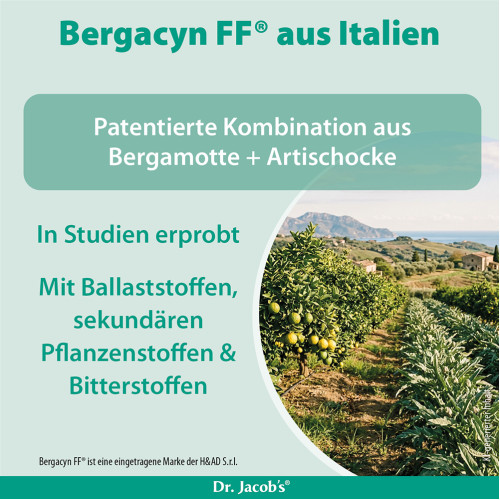 Leber forte Bergamot Mariendistel Cholin Dr Jacobs, 60 Stk., Dr. Jacob's Medical GmbH