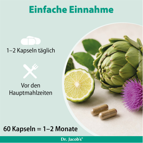 Leber forte Bergamot Mariendistel Cholin Dr Jacobs, 60 Stk., Dr. Jacob's Medical GmbH