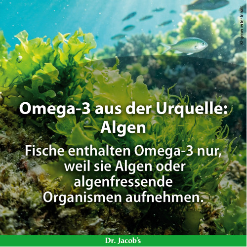 DHA-Algen&ouml;l Kapseln Omega-3 vegan Dr. Jacobs, 60 Stk., Dr. Jacob's Medical GmbH