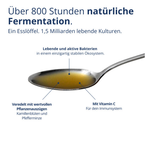 Kijimea Life, 500 ml, Synformulas GmbH