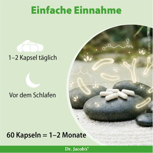 Zen Biotics Darmflora-Bakterien + GABA Dr. Jacob's, 60 Stk., Dr. Jacob's Medical GmbH
