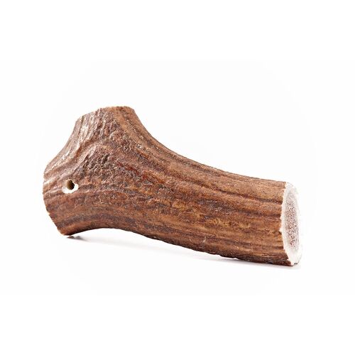 Bellfor Gesunder Hundesnack - Hirsch-Geweihe L, 80 g, Bellfor