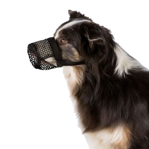 Giftköder Schutznetz für Hunde XS-S, 1 Stk., Trixie