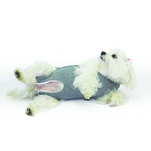 Fashion Dog Cura Pets OP- und Wundschutz-Body für Hunde und Katzen, 1 Stk., Fashion Dog