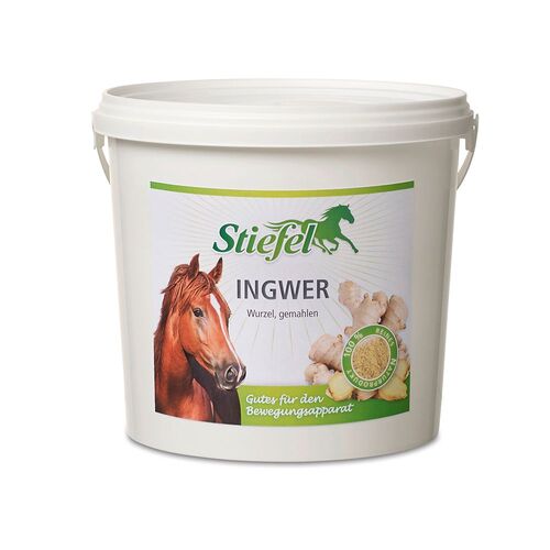 Stiefel Ingwer, 1 kg, Stiefel