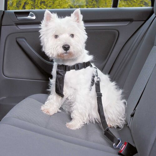 DOGGURT Sicherheitsgurt - Nylon Brustgeschirr und einer Nylon Halteschlaufe, 1 Stk., Trixie