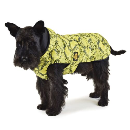 Fashion Dog gesteppter Regenmantel für Hunde, 1 Stk., Fashion Dog
