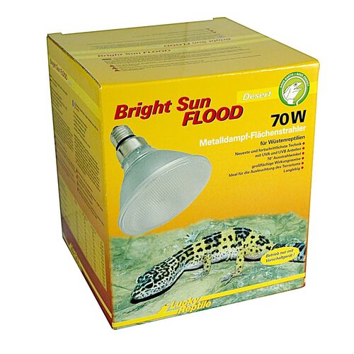 Lucky Reptile - Bright Sun FLOOD Desert, 1 Stk., Lucky Reptile