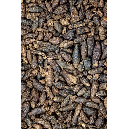Nussgraswurzelstock, vorbehandelt 100g, 100 g, Hofapotheke St. Afra