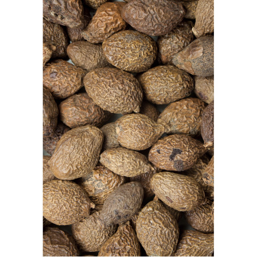 Sterkuliensamen Tropfen - Tinktur 500ml, 500 ml, Hofapotheke St. Afra