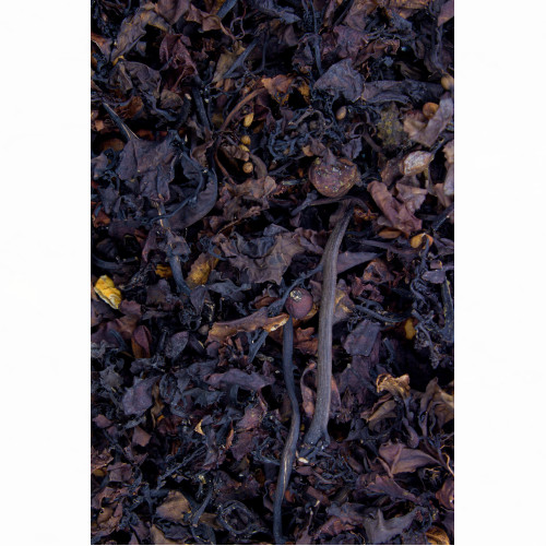 Beerentang 250g, 250 g, Hofapotheke St. Afra