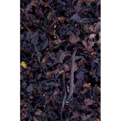 Beerentang 1000g, 1000 g, Hofapotheke St. Afra