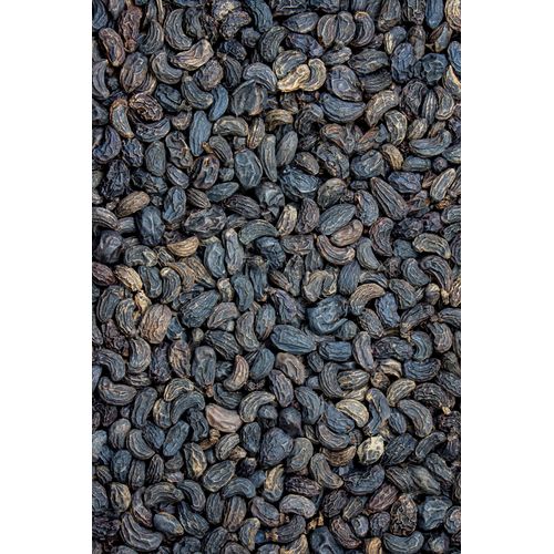 Ligusterfrüchte, vorbehandelt 100g, 100 g, Hofapotheke St. Afra