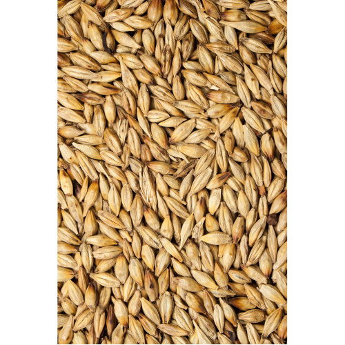 Malz Salbe 100g, 100 g, Hofapotheke St. Afra