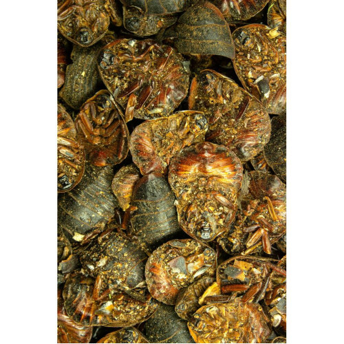 Saftkugler Salbe 200g, 200 g, Hofapotheke St. Afra